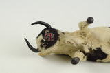 Miniature Taxidermy Bull JR