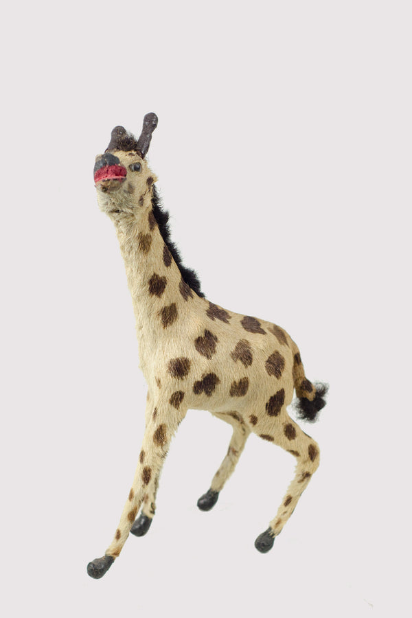 Miniature Taxidermy Giraffe