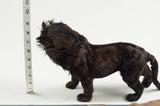 Miniature Taxidermy Lion
