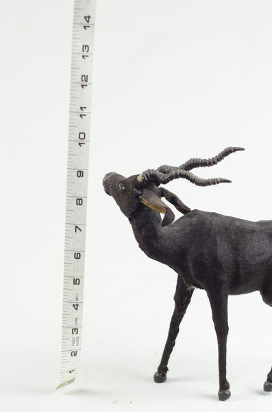 Miniature Taxidermy Antelope