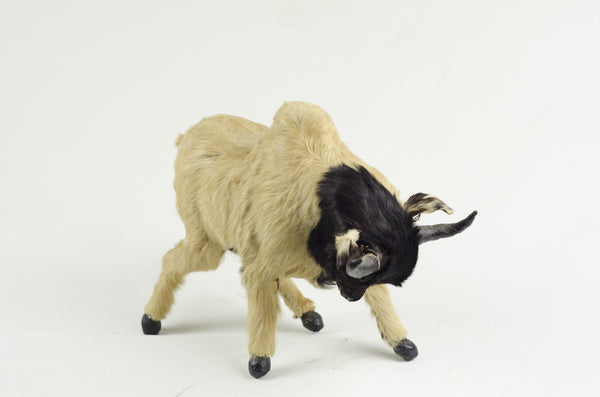Antique Bull Taxidermy Toy
