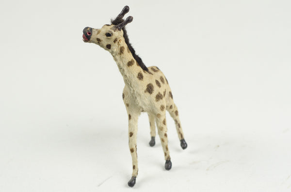 Miniature Taxidermy Giraffe