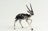 Miniature Taxidermy Antelope JR